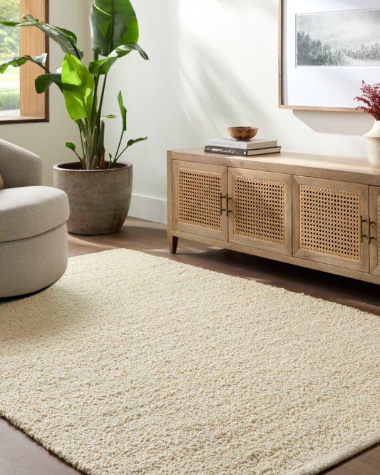 Livabliss Curly 5 x 8 (ft) Flatweave Wool Light Beige Rectangular Indoor Solid Farmhouse/Cottage Spot Clean Only Pet Friendly Area rug