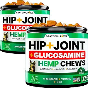 (2 Pack) Hemp Hip and Joint Supplement for Dogs - Glucosamine for Dogs - 340 Joint Pain Relief Treats - Chondroitin, MSM, Hemp Oil - Advanced Health Supplement - Mobility Support Chews - Made in USA